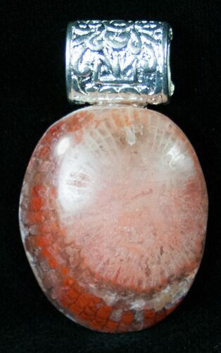 Fossil Red Horn Coral Pendant - Utah #14876